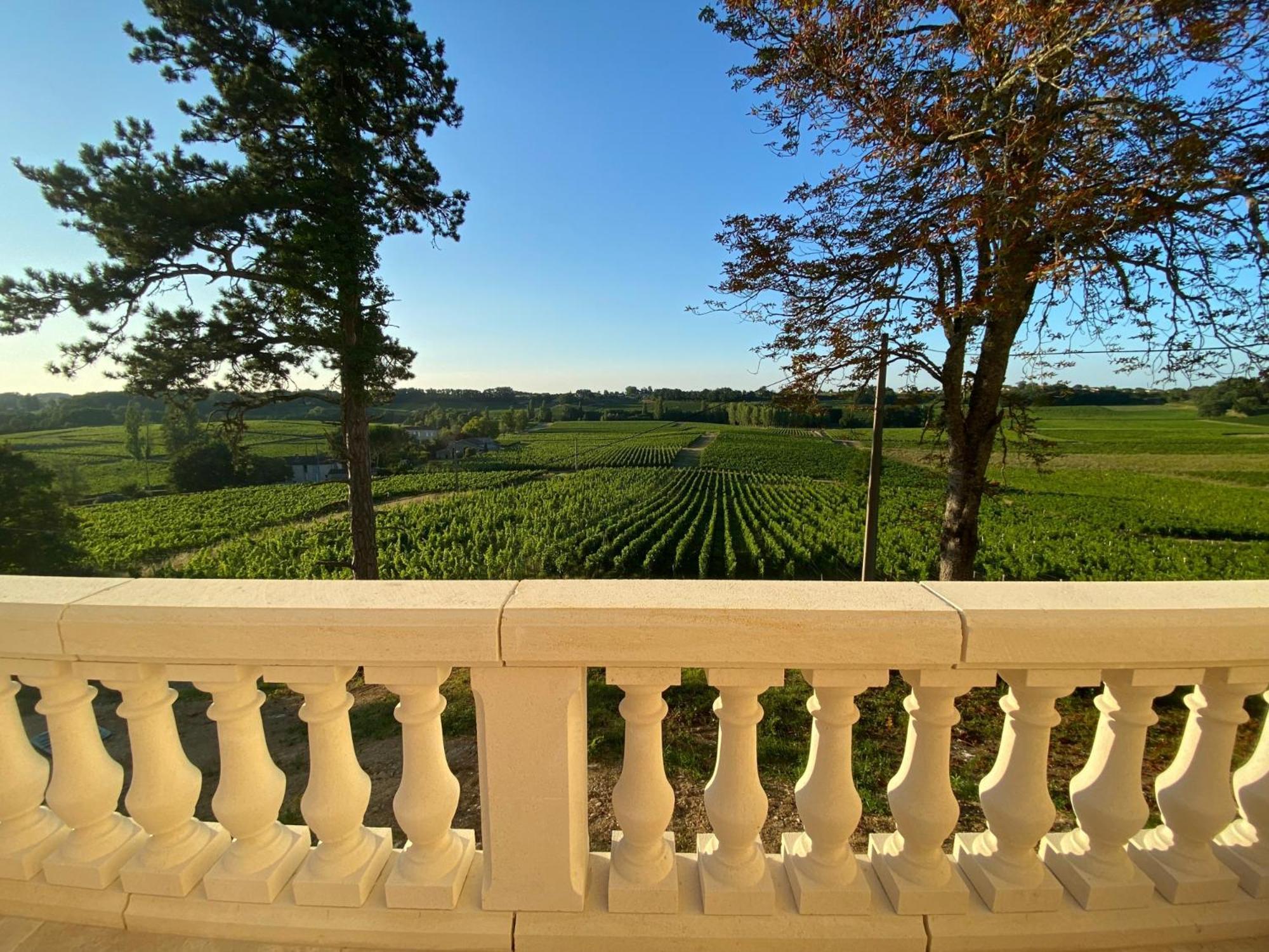La Reserve Du Chateau De Roques Puisseguin المظهر الخارجي الصورة